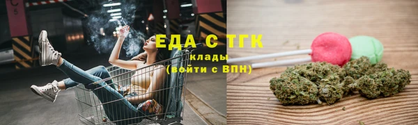 хмурый Магас