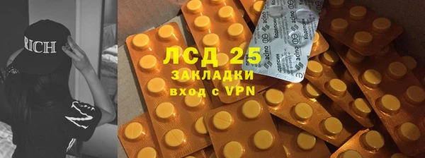 хмурый Магас