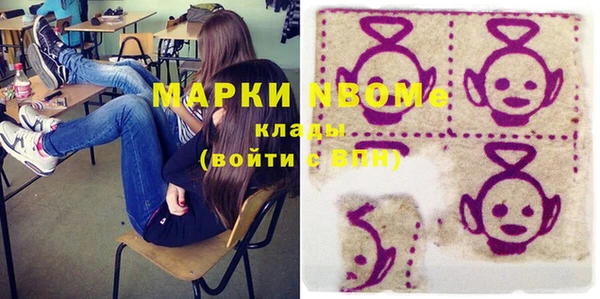 хмурый Магас