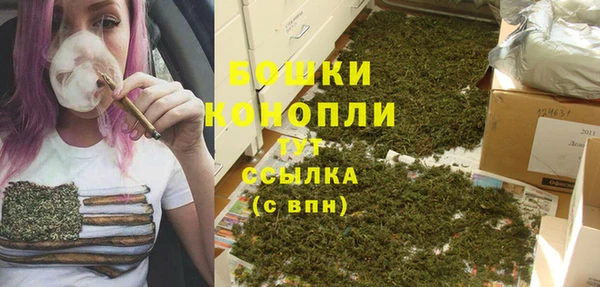 хмурый Магас