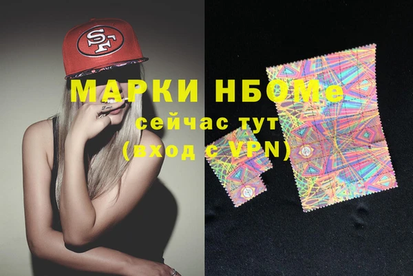 хмурый Магас