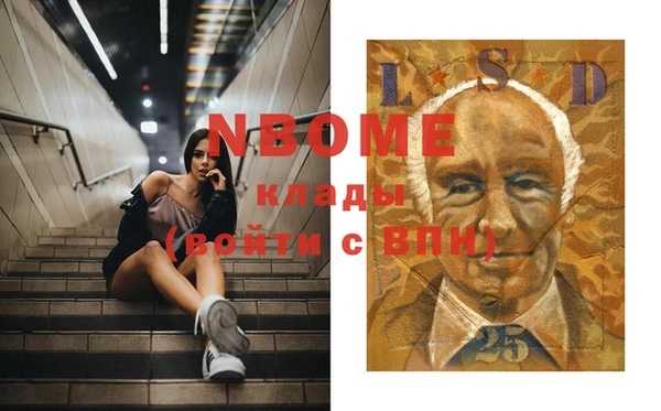 хмурый Магас