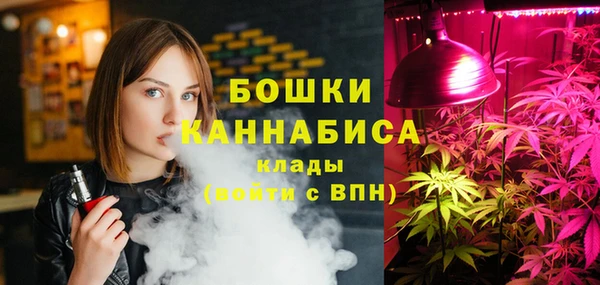 хмурый Магас
