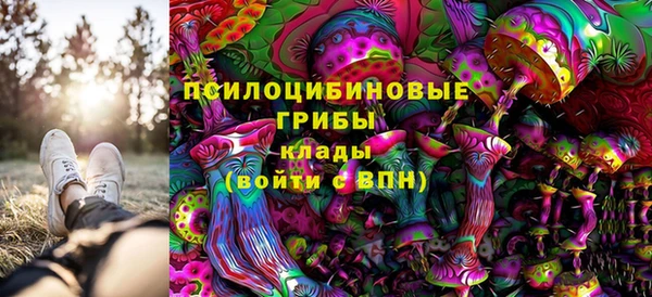 гидропоника Магадан