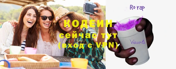 хмурый Магас