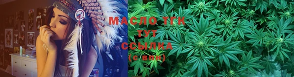 хмурый Магас