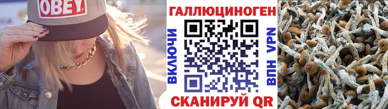 даркнет сайт omg ONION Псилоцибиновые грибы GOLDEN TEACHER Котово